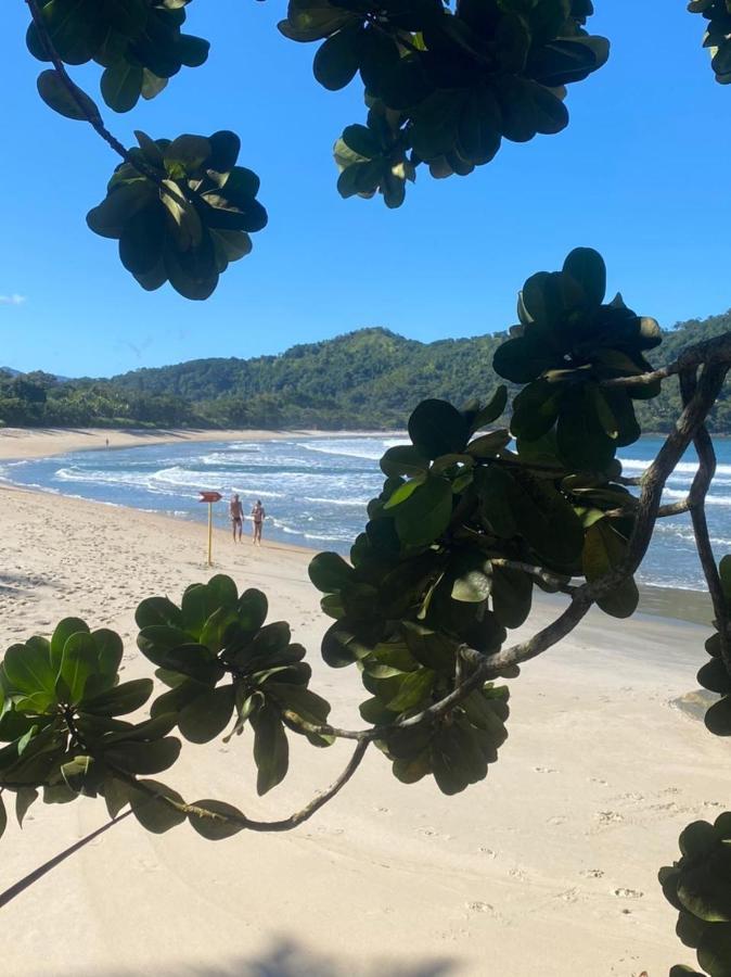 Aroeira